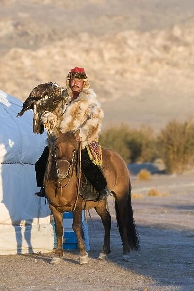 Dalai Han an Kazakh eagle hunter with his Golden Eagle Uglii in Altai Mountains western
