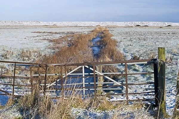 Dyke across Kelling Quags Kelling Norfolk winter