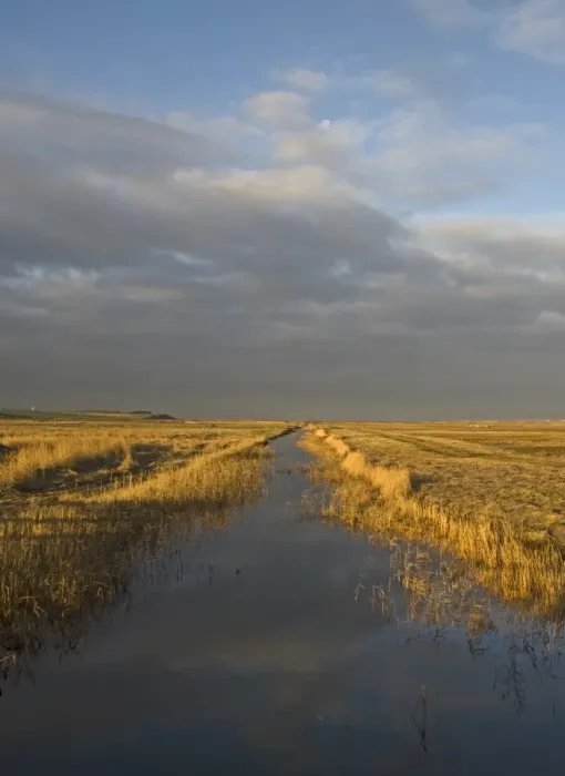 Framed Print : Dyke running across grazing marsh at Salthouse Norfolk winter Framed Print : Dyke running across grazing marsh at Salthouse Norfolk winter