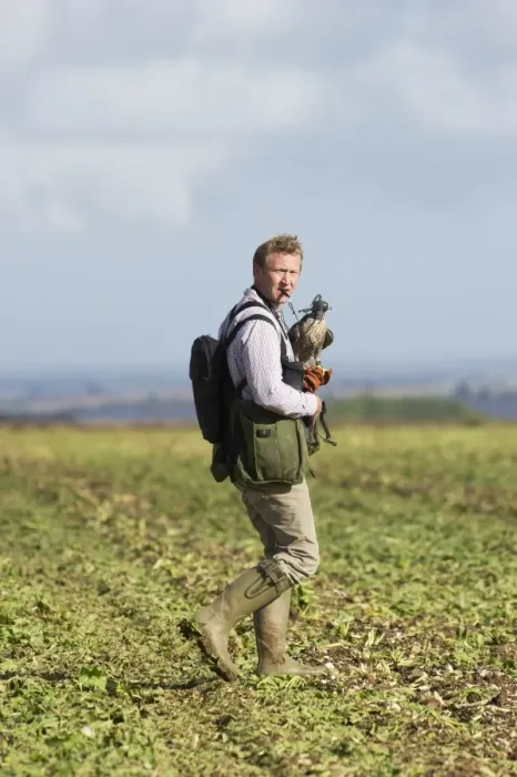 Framed Print : Falconer andy Hollidge with Peregrine Falcon at British Falconers Club International Framed Print : Falconer andy Hollidge with Peregrine Falcon at British Falconers Club International