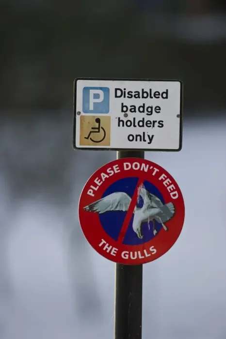 Framed Print : Do not feed the gulls sign in Dumfries Scotland Framed Print : Do not feed the gulls sign in Dumfries Scotland
