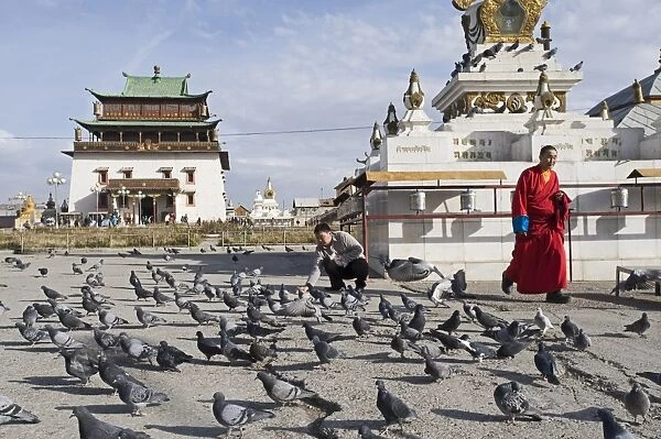 Feeding Feral Pigeons in front of Gandan Manastery in Ulan Bator Mongolia September