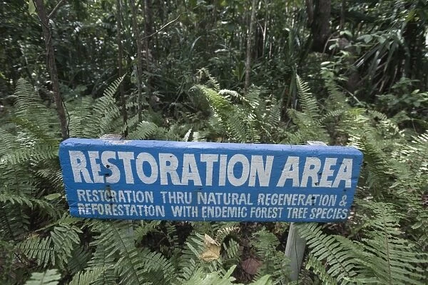 Forest regeneration in Puerto Princesa Subterranean River National Park Nr Sabang