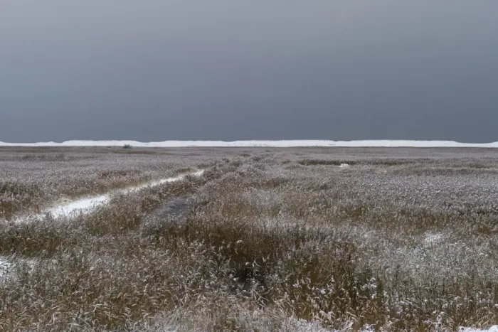 Framed Print : Freezing conditions on Cley NWT Reserve Cley Norfolk December