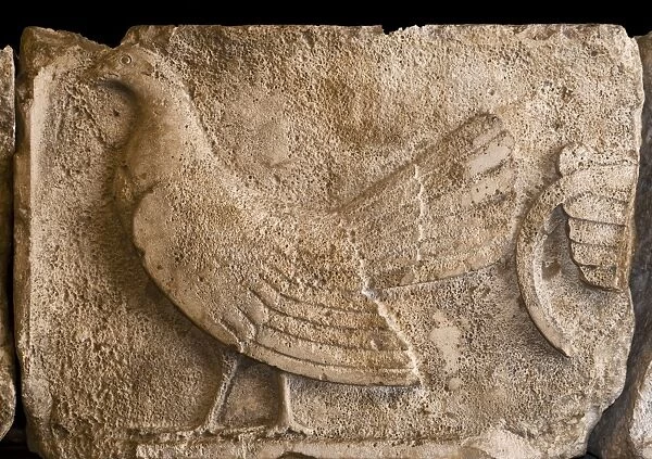 A frieze depicting a Cockerel from a tomb at Xanthos in Lycia Turkey dates to between 470