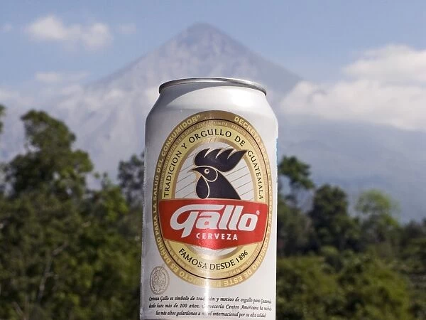 Gallo beer (The Cock) Guatemalan beer