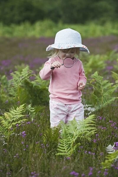 Girl with magnifying glass looking at insects on heath North Norfolk July