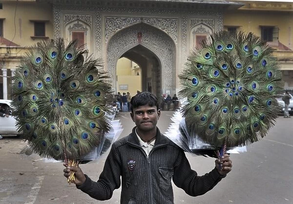 Hawker with decorative peacock feather fans being sold to tourists in Jaipur India