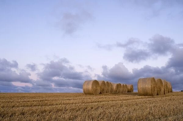 Hay bales on cut field Kelling Norfolk August