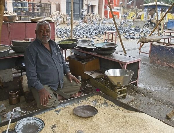 Hindu grain seller for pigeon feeding for religious purposes Jodphur India