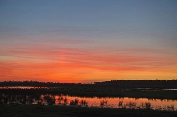 Holkham freshmarsh viewed from Lady Annes Drive Norfolk at dusk winter