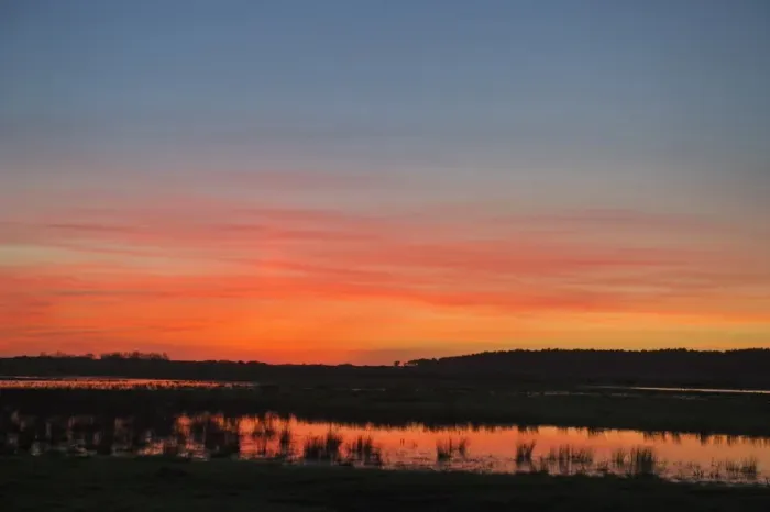 Framed Print : Holkham freshmarsh viewed from Lady Annes Drive Norfolk at dusk winter Framed Print : Holkham freshmarsh viewed from Lady Annes Drive Norfolk at dusk winter