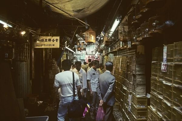 Hong Lok Bird Market in Hong Kong 1990