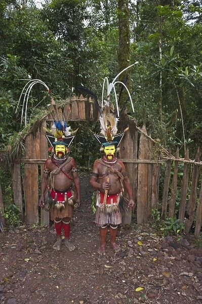 Huli Wig-men at Makara Bird View Lodge Tari Papua New Guinea