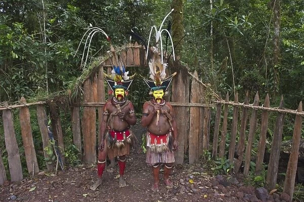 Huli Wig-men at Makara Bird View Lodge Tari Papua New Guinea