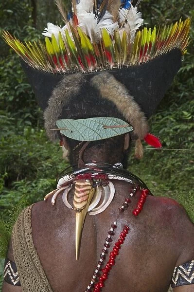 Huli Wigmen with Blyths Hornbill bills as necklace decoration Tari Southern Highlands