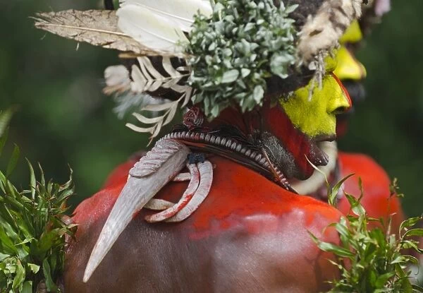 Huli Wigmen from the Tari Valley in Southern Highlands of Papua New Guinea wearing