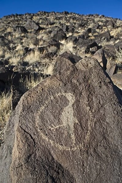 Hummingbird Petroglyph at Petroglyph National Monument Albuqurque New Mexico USA