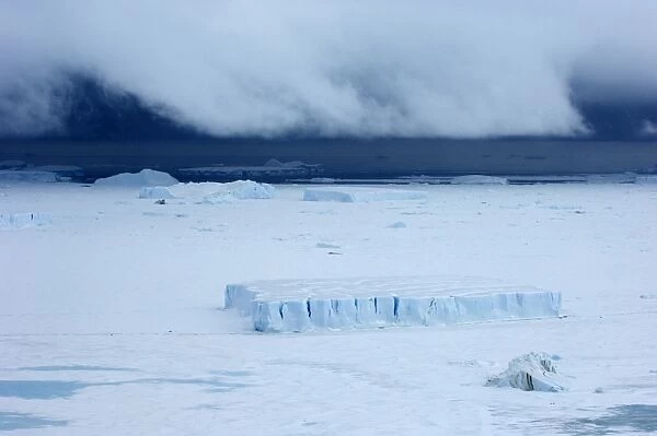 Icebergs stuck in fast ice of the frozen Weddell Sea near Snow Hill Island Antarctica