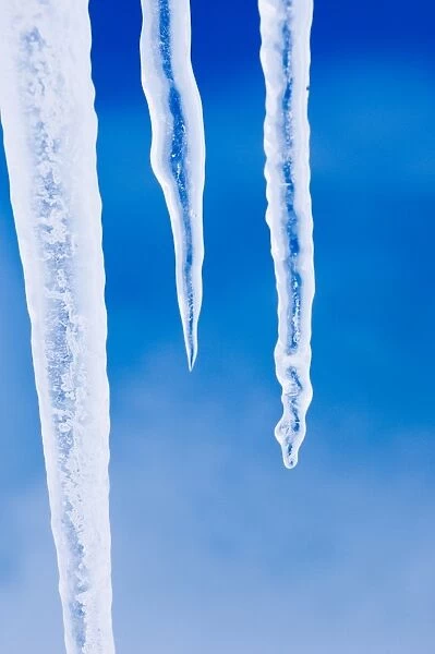 Icicles hanging from iceberg stuck in the fast ice of the Weddell Sea around Snow