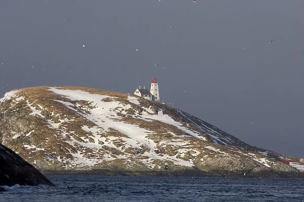 Island of Hornoya, Varanger Fjord, Arctic Norway March