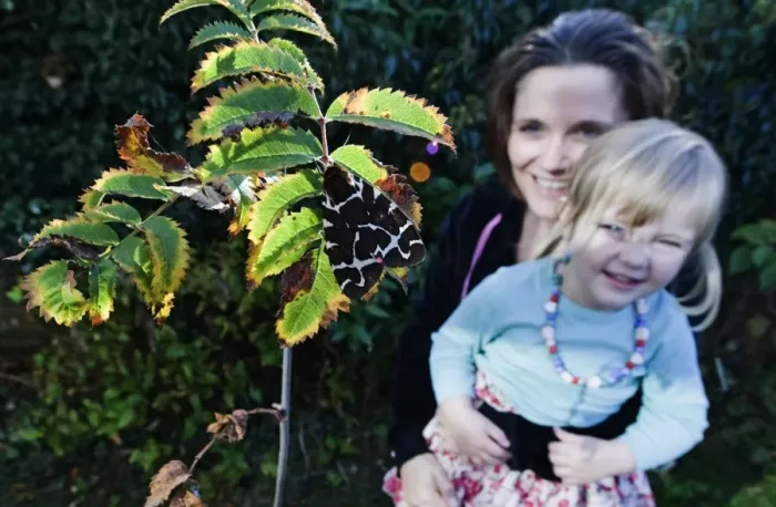 Framed Print : Jayne Smith and daughter Charlotte looking at Garden Tiger Moth recently hatched Framed Print : Jayne Smith and daughter Charlotte looking at Garden Tiger Moth recently hatched