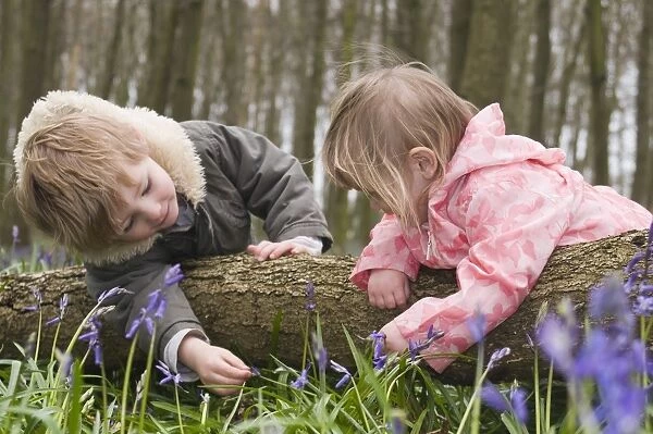 Kids playing in Bluebell Wood Bucks UK April