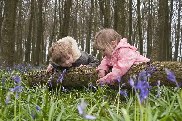 Kids playing in Bluebell Wood Bucks UK April