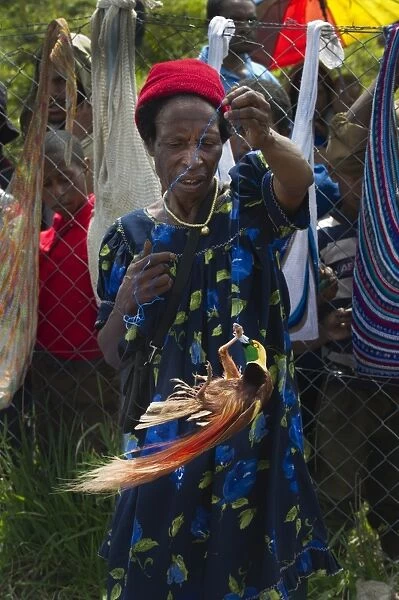 Lady in market with male Raggiana Bird of Paradise for sale Mt Hagen Papua New Guinea