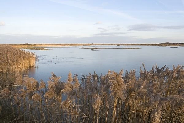 Lagoon on Titchwell RSPB Reserve, frozen over in winter Norfolk