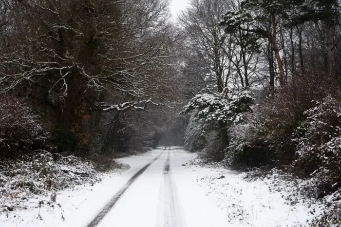 Framed Print : Lane covered in snow on Holkham Estate North Norfolk winter Framed Print : Lane covered in snow on Holkham Estate North Norfolk winter