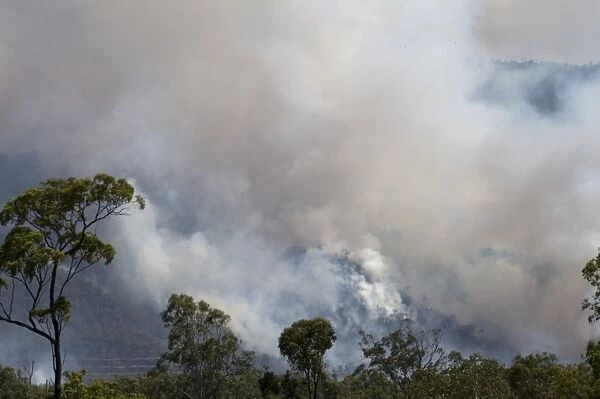 Large forest fire near Cairns Queensland Australia