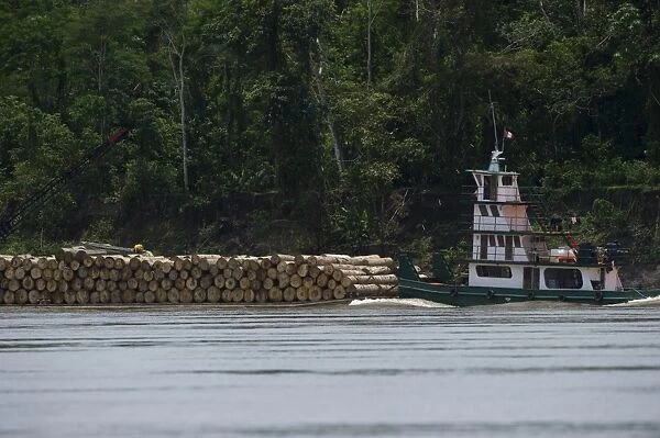 Logging barge on River Amazon near Iquitos Peru