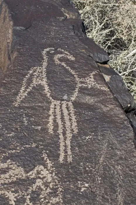Framed Print : Macaw Petroglyph at Petroglyph National Monument Albuqurque New Mexico USA Framed Print : Macaw Petroglyph at Petroglyph National Monument Albuqurque New Mexico USA