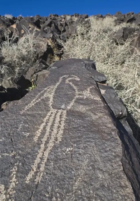 Framed Print : Macaw Petroglyph at Petroglyph National Monument Albuqurque New Mexico USA Framed Print : Macaw Petroglyph at Petroglyph National Monument Albuqurque New Mexico USA