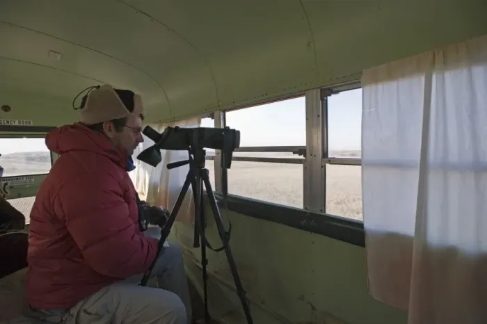 Framed Print : Mark Cocker watching lekking Sharp-tailed Grouse in the Sandhills Nebraska USA April 2008 Framed Print : Mark Cocker watching lekking Sharp-tailed Grouse in the Sandhills Nebraska USA April 2008