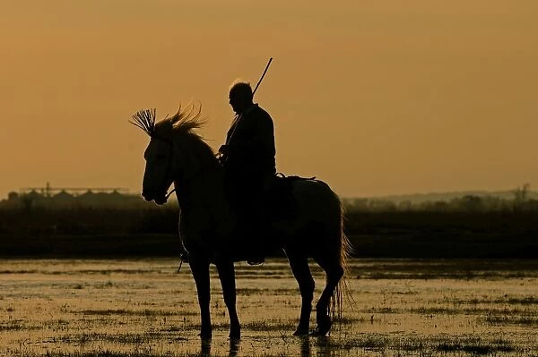 Marsh Guardian out on marshes of Camargue at dawn Provence France