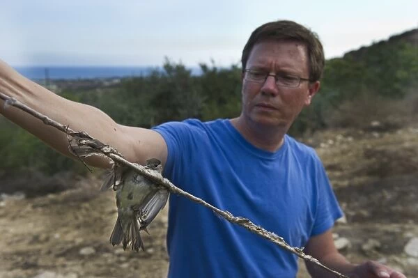 Martin Hellicar from Birdlife Cyprus holding a limestrick with trapped Blackcap Cyprus