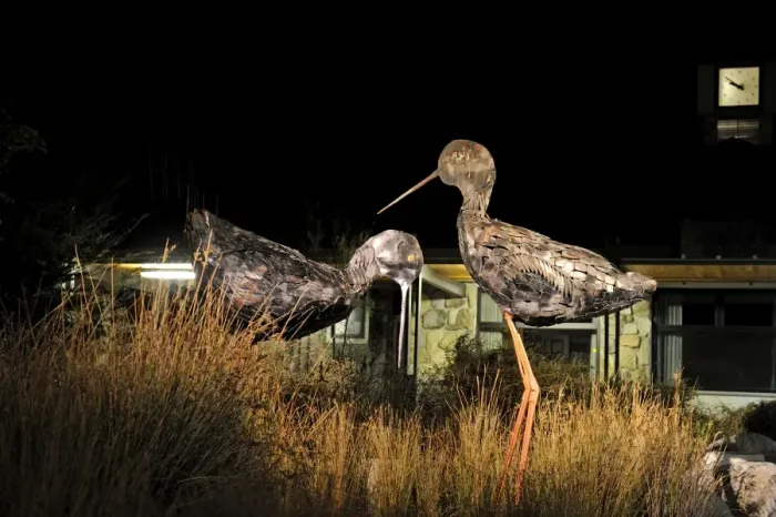 Framed Print : Metal sculptures of the Black Stilt (Kaki) in the market place Twizel made by local Framed Print : Metal sculptures of the Black Stilt (Kaki) in the market place Twizel made by local