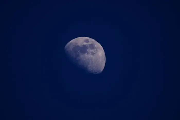 Framed Print : moon Framed Print : moon