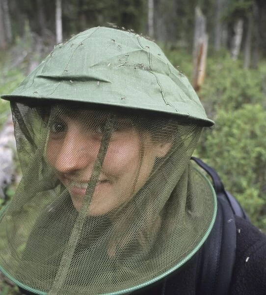 Mosquitos on girls mosquito hat in Finnish forest north of Kuusamo Finnish Lapland