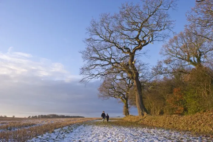 Framed Print : Mother and son walking in snow Norfolk December Framed Print : Mother and son walking in snow Norfolk December