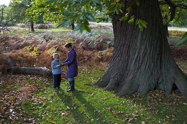 Mother and son in woodland in autumn Kent UK