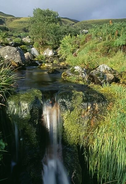 Mountain stream, Inverpolly, NW Scotland, summer