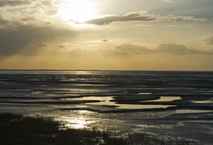 Framed Print : The mudflats of the Wash viewed from Snettisham RSPB Reserve Norfolk winter