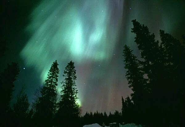 Northern Lights  /  Aurora Borealis, Kuusamo Finland, winter