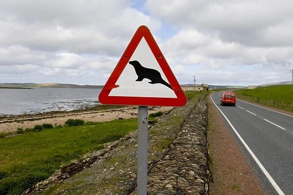 Otter road crossing sign Shetland Scotland