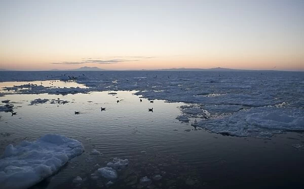 Pack Ice in Sea of Ohkotsk with Kuril Islands on horizon