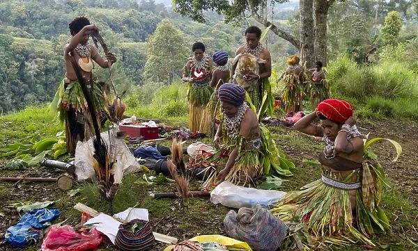 Paiya Sing-sing group preparing for the Paiya show in Western Highlands Papua New Guinea