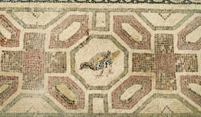 Framed Print : Partridge - Chukar mosaic Paphos in Cyprus, one of the strongholds of the Ptolemaic kings Framed Print : Partridge - Chukar mosaic Paphos in Cyprus, one of the strongholds of the Ptolemaic kings